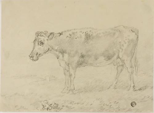 Cow by Sawrey Gilpin, drawing, 1750-1859