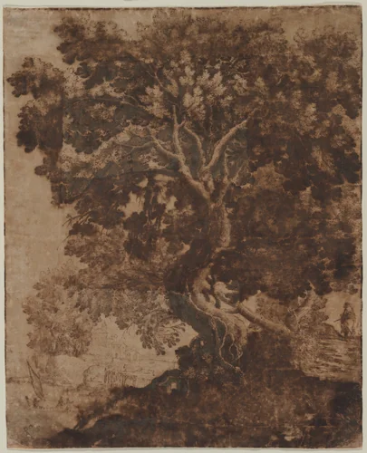 Tree in a Landscape by Ercole Bazicaluva, drawing, 1640-1661