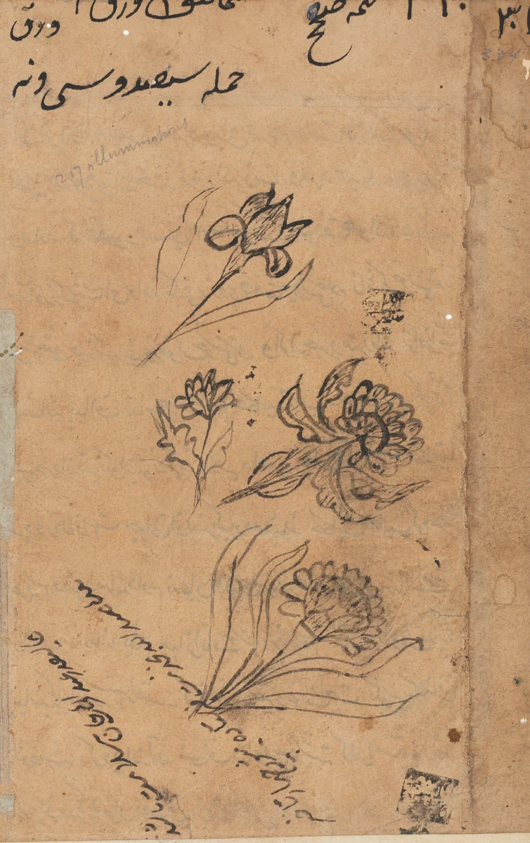 Page from Tales of a Parrot (Tuti-nama): text page by Unknown, painting, 1555-1565