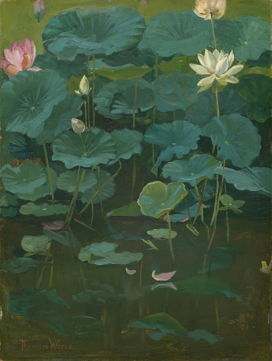 Buddha's Flowers: Lotus, Tokyo by Theodore Wores, painting, 1894