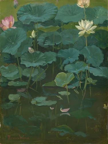 Buddha's Flowers: Lotus, Tokyo by Theodore Wores, painting, 1894