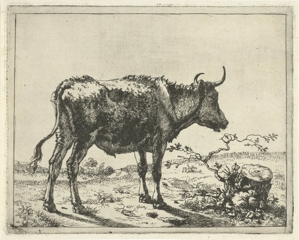 Stier staand bij boomstronk by Marcus de Bye, print, 1657-1677