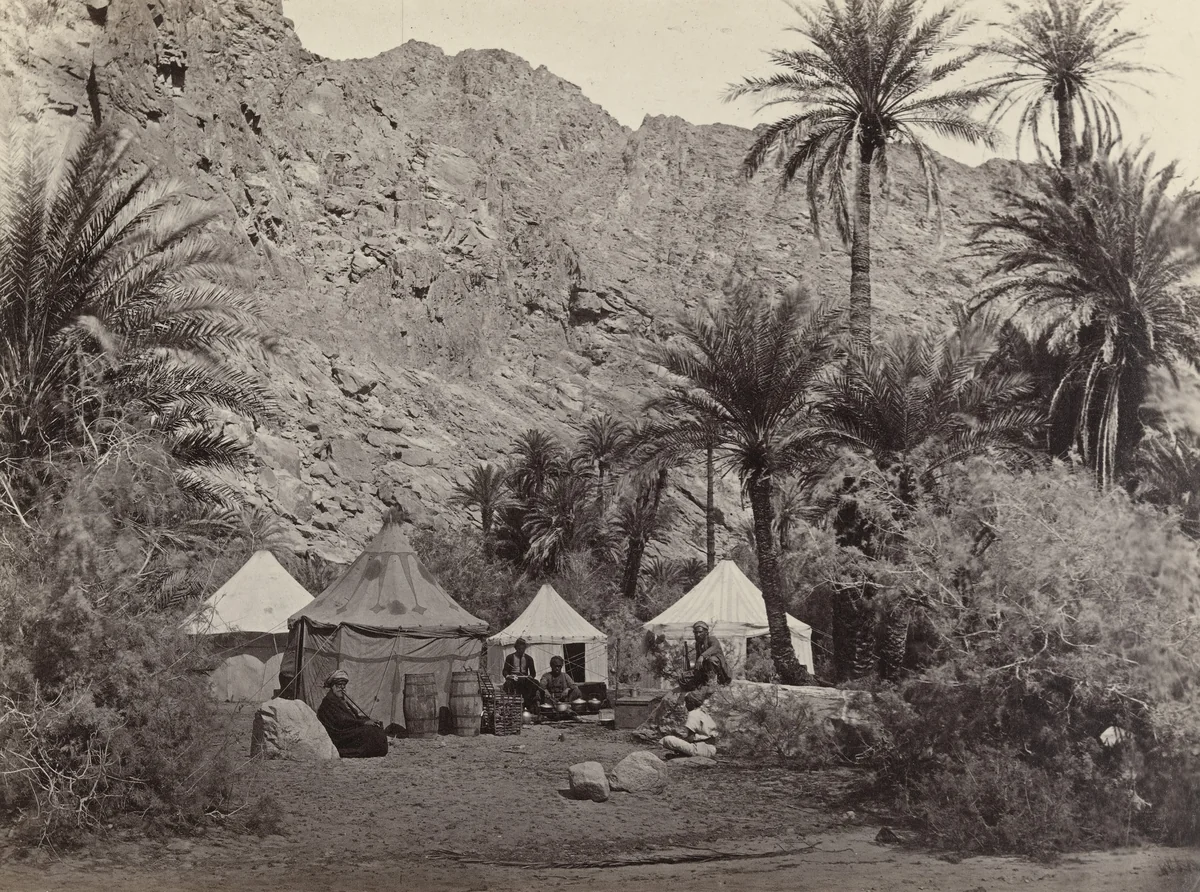 Encampment in the Wilderness of Paran (#529) by Francis Frith, photograph, 1860