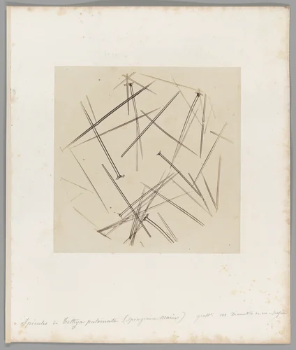 [Untitled] by Auguste-Adolphe Bertsch, photograph, 1853-1857