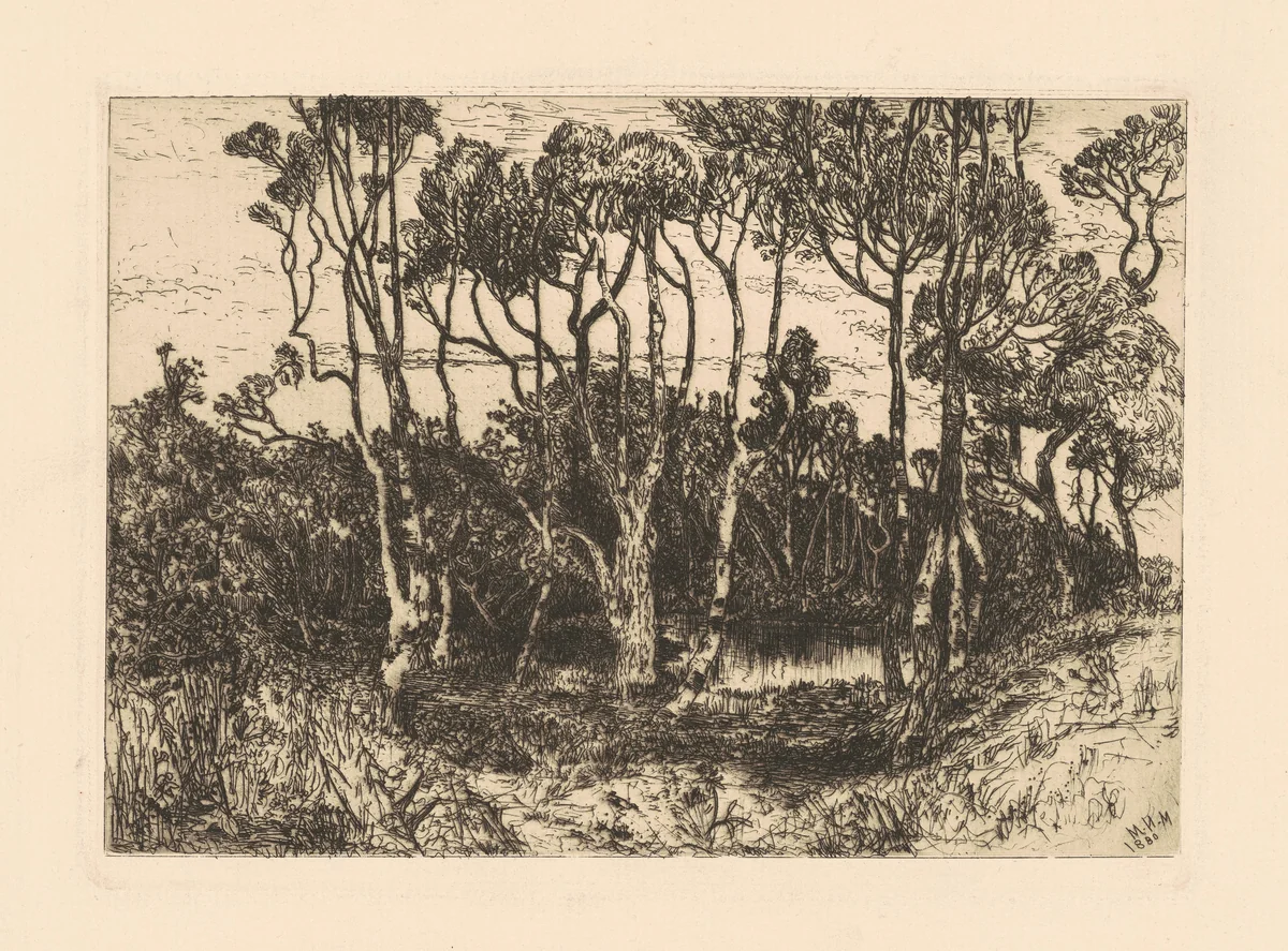 Solitude by Mary Nimmo Moran, print, 1880