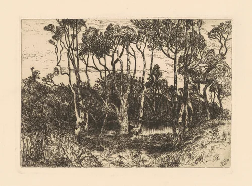 Solitude by Mary Nimmo Moran, print, 1880