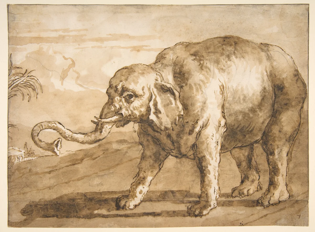 Elephant in a Landscape by Giovanni Domenico Tiepolo, drawing, 1727-1804
