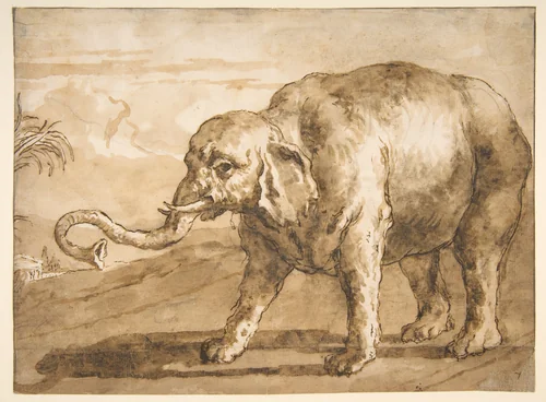 Elephant in a Landscape by Giovanni Domenico Tiepolo, drawing, 1727-1804