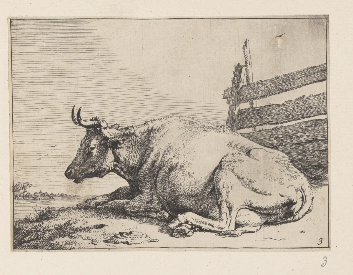 The Cow Lying Down near a Fence, from Various Oxen and Cows by Paulus Potter, print, 1650