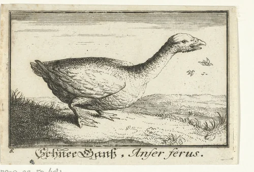 Landschap met wilde gans by anonymous, print, 1659-1741