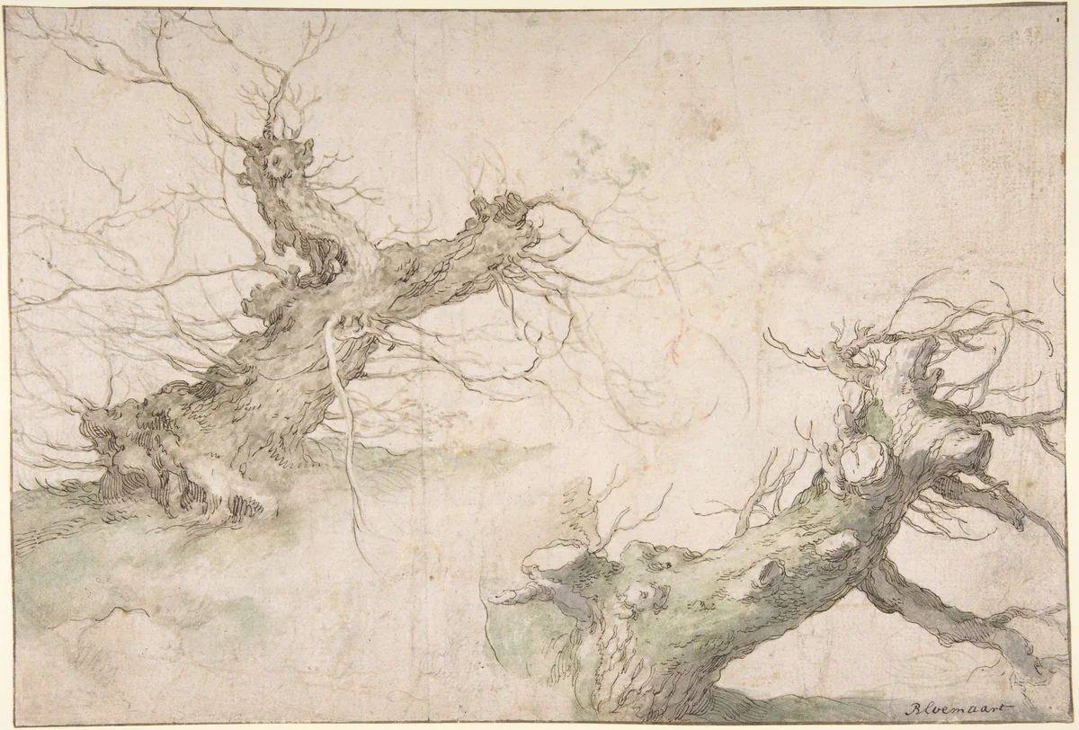 Studies of Two Pollard Willows; Verso: Wide Landscape Prospect by Abraham Bloemaert, drawing, 1580-1651