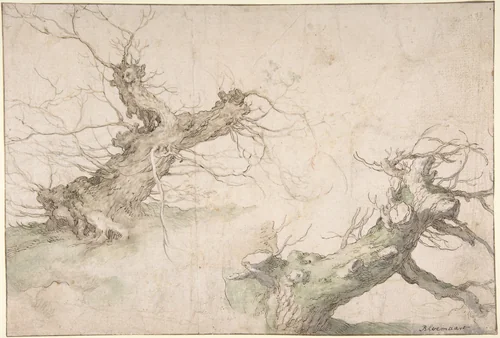 Studies of Two Pollard Willows; Verso: Wide Landscape Prospect by Abraham Bloemaert, drawing, 1580-1651