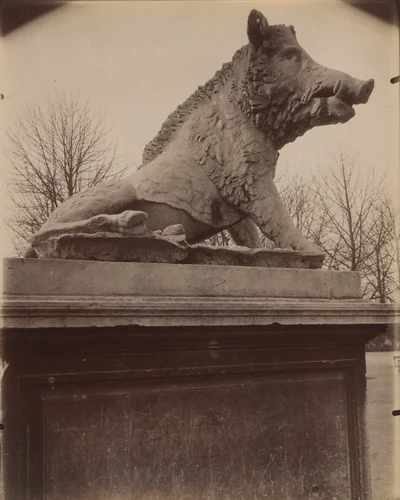 Tuileries Sanglier / d'apres l'antique by Eugène Atget, photograph, 1911