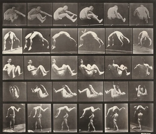 Plate Number 522. A: Jumping. B: Handspring. C, D: Somersault. E: Springing over a man's back by Eadweard Muybridge, photograph, 1887