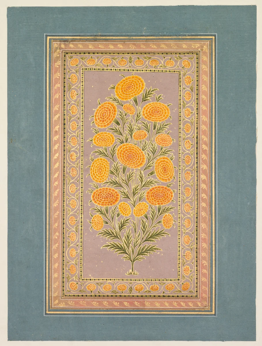 Flowering Marigold (verso) by Hunhar II, painting, 1760-1770