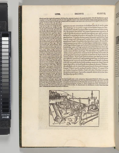 Di Lucio Vitruvio Pollione De architectura Libri Dece traducti de latino in vulgare affigurati: commentati: & con mirando ordine insigniti by Marcus Pollio Vitruvius, book, 1521
