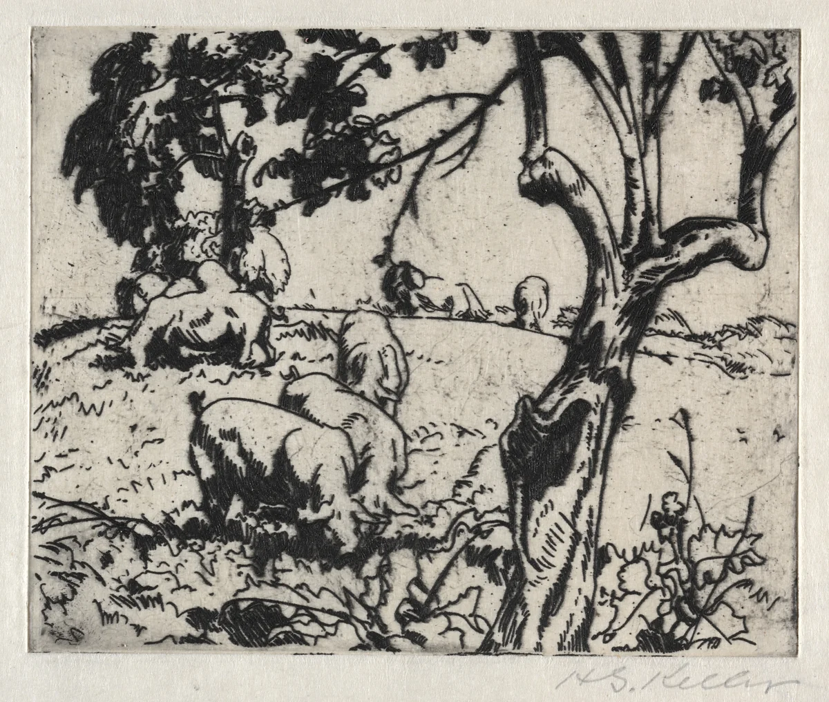 Pigs in Orchard by Henry Keller, print, 1916
