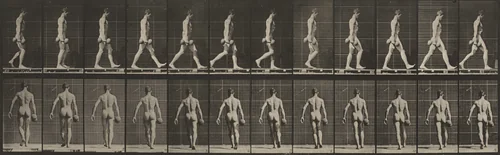 Plate Number 28. Walking and carrying a 50-lb. dumbbell in right hand by Eadweard Muybridge, photograph, 1887