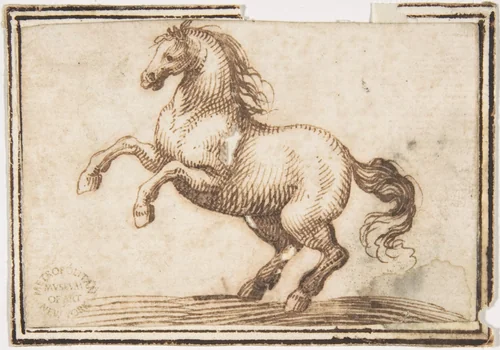 Horse by Francesco Allegrini, drawing, 1624-1663