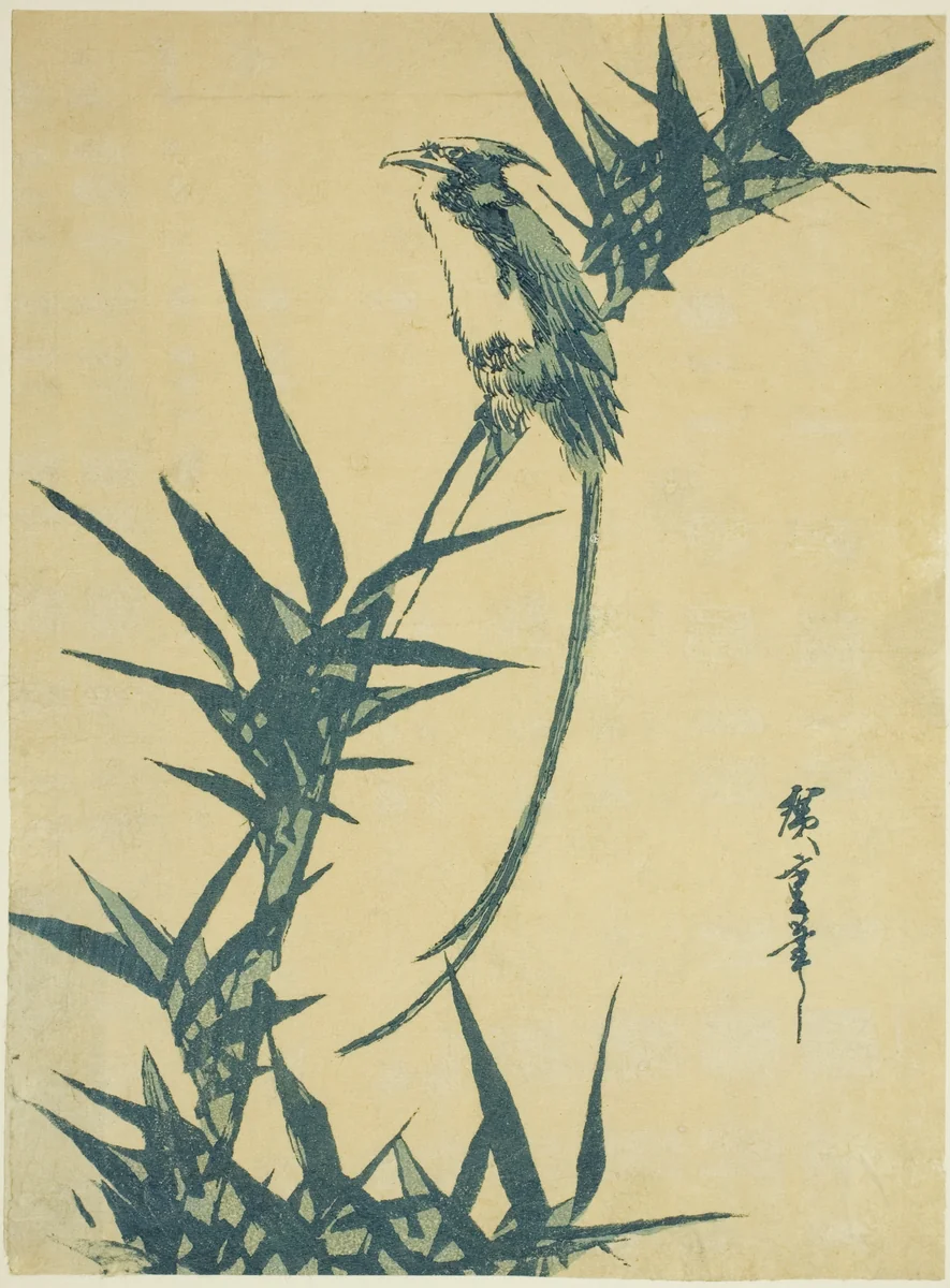 Long-tailed bird and bamboo by Utagawa Hiroshige (歌川広重), print