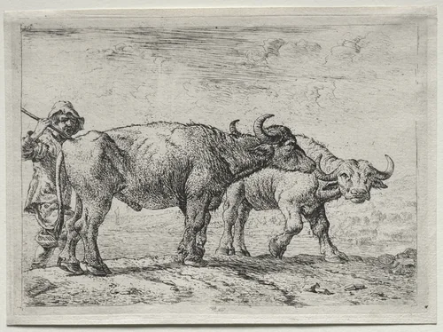 The Two Buffaloes by Pieter van Laer, print