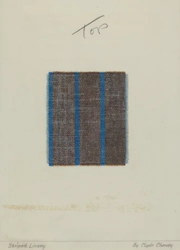 Woven Striped Linsey Wooley by Clyde L. Cheney, index of american design, 1935-1942