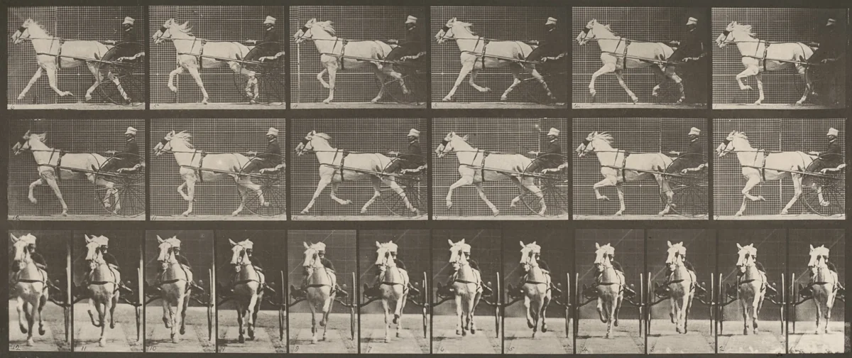 Plate Number 610. "Katydid" trotting, harnessed to sulky by Eadweard Muybridge, photograph, 1887