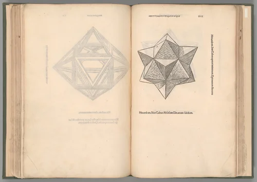 Divine Proportion by Leonardo da Vinci, artwork, 1509