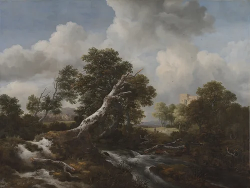 Low Waterfall in a Wooded Landscape with a Dead Beech Tree by Jacob van Ruisdael, painting, 1660-1670