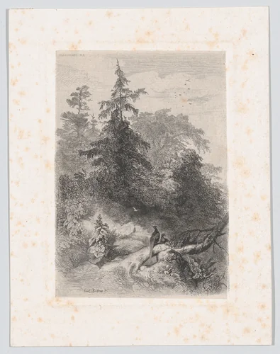 Two Pheasants in a Forest by Karl Bodmer, print, 1855-1865
