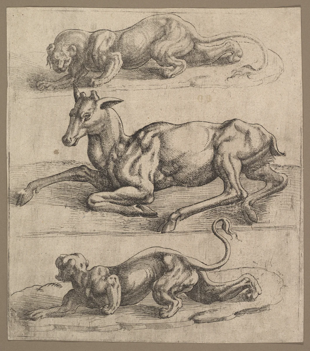 A Doe and Two Lionesses by Jan Cornelisz Vermeyen, print, 1535-1545