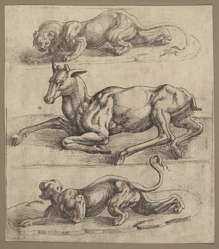 A Doe and Two Lionesses by Jan Cornelisz Vermeyen, print, 1535-1545