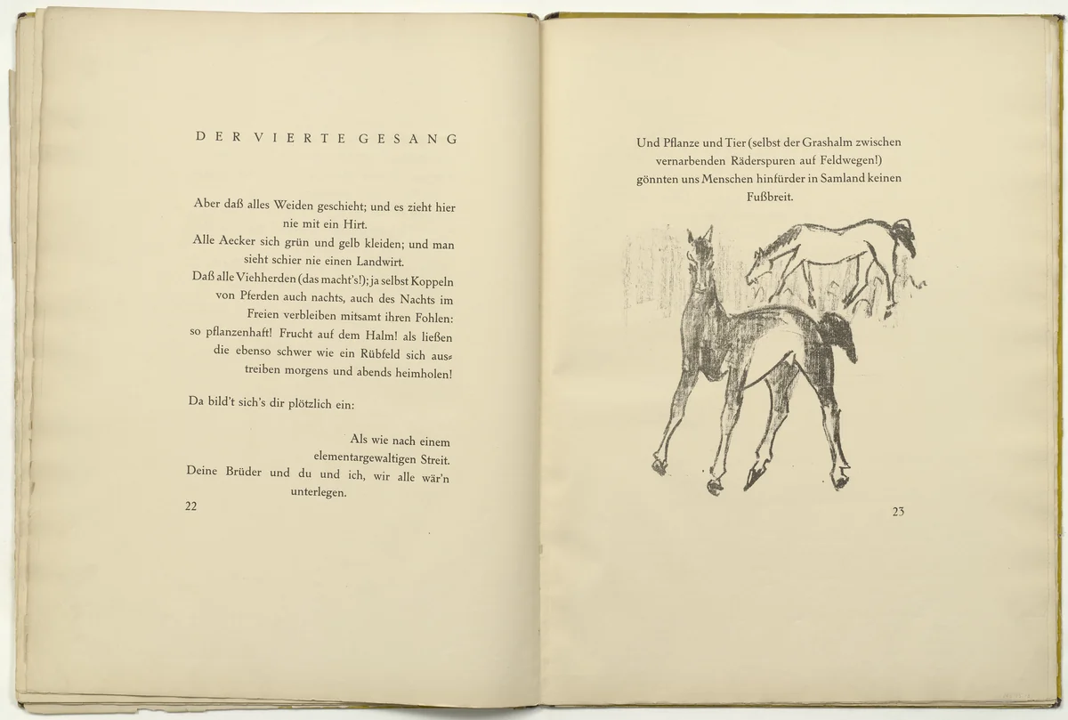 Untitled (in-text plate, page 23) from Die Samländische Ode (The Samland Ode) by Max Pechstein, illustrated book, 1918
