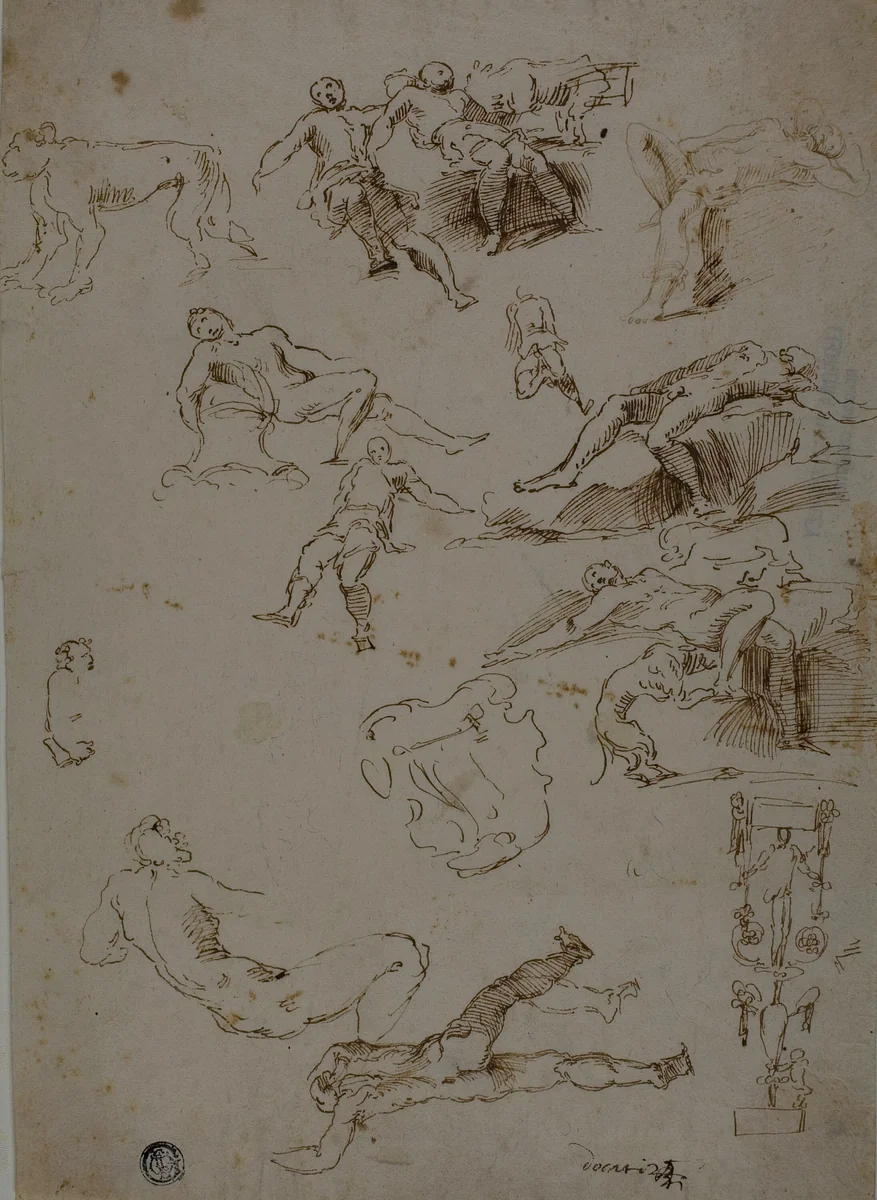 Sketches of Male Nudes, Animals, and Ornamental Details by Polidoro Caldara, drawing, 1580-1599
