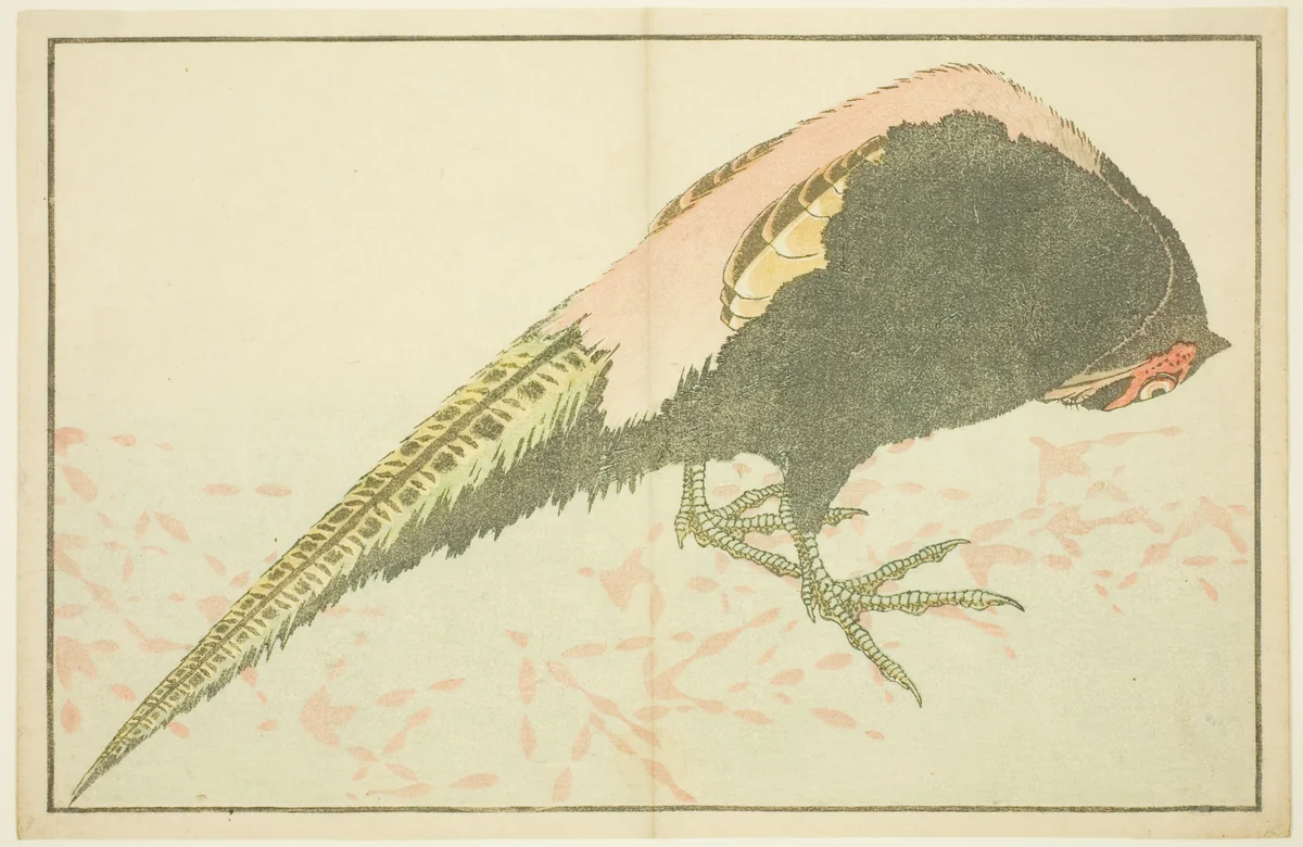 Male Pheasant, from The Picture Book of Realistic Paintings of Hokusai (Hokusai shashin gafu) by Katsushika Hokusai (葛飾 北斎), print, 1809-1819