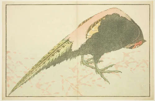 Male Pheasant, from The Picture Book of Realistic Paintings of Hokusai (Hokusai shashin gafu) by Katsushika Hokusai (葛飾 北斎), print, 1809-1819