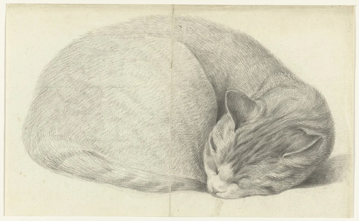 Opgerold liggende, slapende kat by Jean Bernard, drawing, 1775-1833
