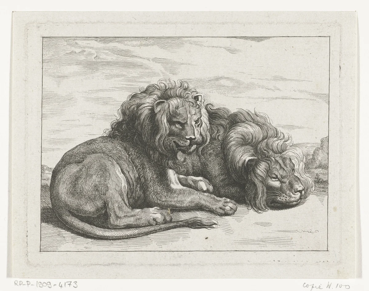 Twee liggende leeuwen by anonymous, print, 1750-1900