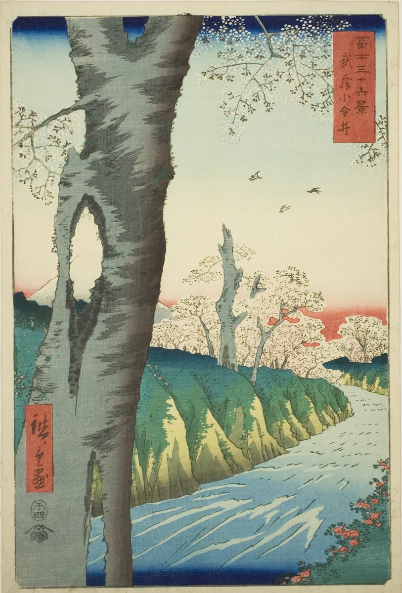 Koganei in Musashi Province (Musashi Koganei), from the series "Thirty-six Views of Mount Fuji (Fuji sanjurokkei)" by Utagawa Hiroshige (歌川広重), print, 1858