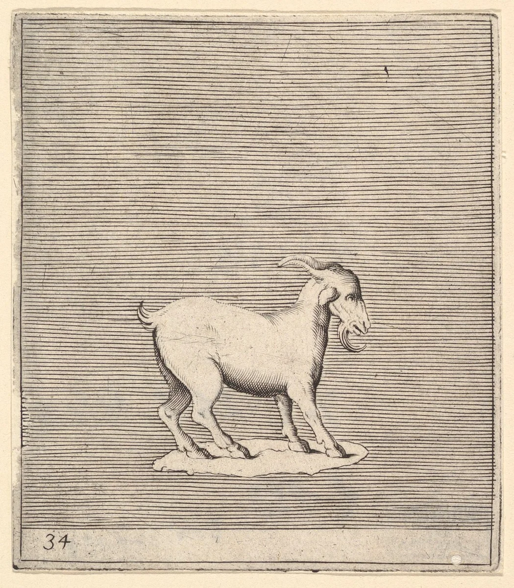 Ram, from "Ex Antiquis Cameorum et Gemmae Delineata" by anonymous, print, 1599-1622