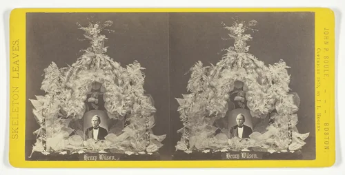 Henry Wilson, from the series "Skeleton Leaves" by John P. Soule, photograph, 1875