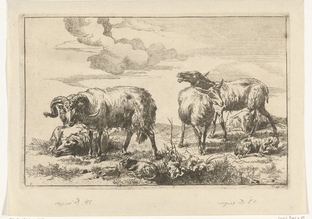 Blatend schaap tussen schapen en een ram by anonymous, print, 1648-1733