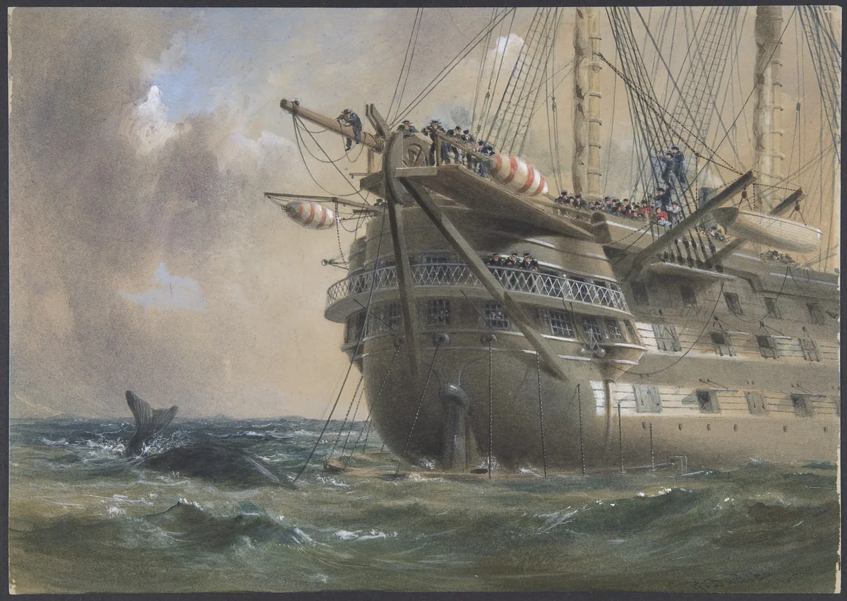 H.M.S. Agamemnon Laying the Atlantic Telegraph Cable in 1858: a Whale Crosses the Line by Robert Charles Dudley, drawing, 1865-1866