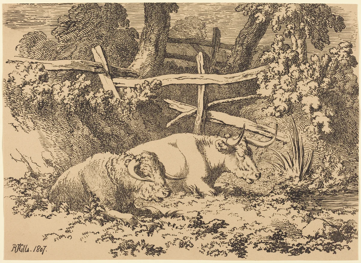 Cattle Resting by Robert Hills, print, 1807