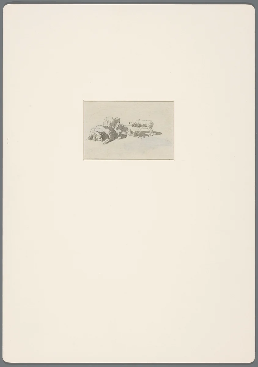 Vier schapen in het zonlicht by David de Sandoz-Rollin, drawing, 1750-1809