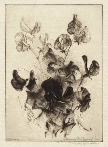 Sweet Peas by James David Smillie, print, 1891