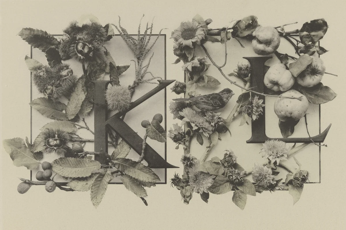 Page from Festons und Dekorative Gruppen by Unidentified Photographer, photograph, 1893