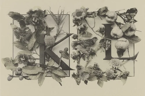 Page from Festons und Dekorative Gruppen by Unidentified Photographer, photograph, 1893