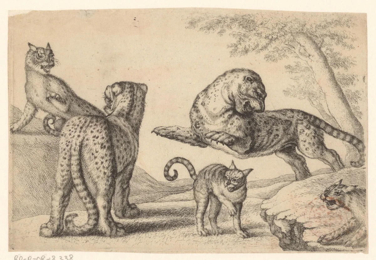 Twee luipaarden en drie wilde katten by Richard Gaywood, print, 1654-1670