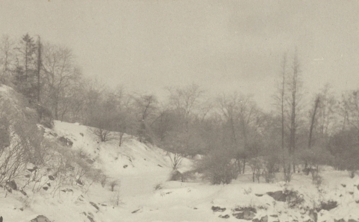 Impression, Winter by Alfred Stieglitz, photograph, 1894
